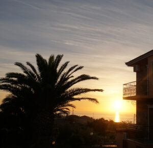 Sunsets